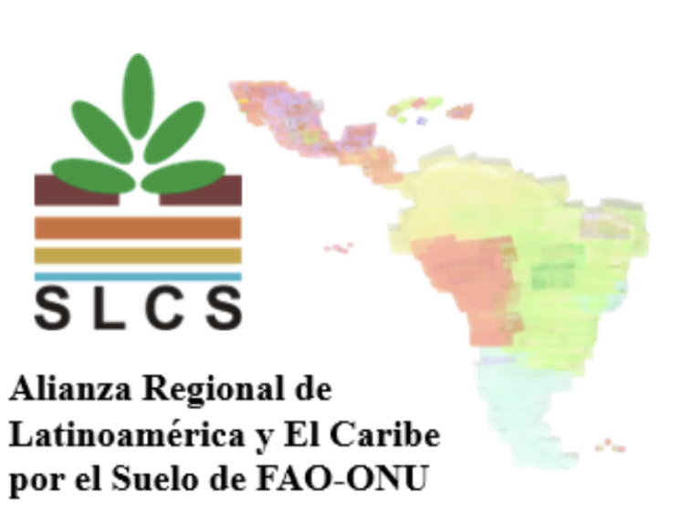 Año Internacional del suelo LA (2)